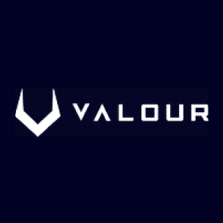 Strive-about us-logo-valour